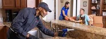 Real Estate Pest Inspections in Swissvale, PA